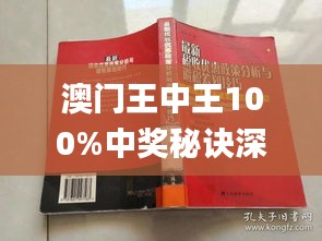 澳门王中王100%期期中一期,状况评估解析说明_PalmOS81.847