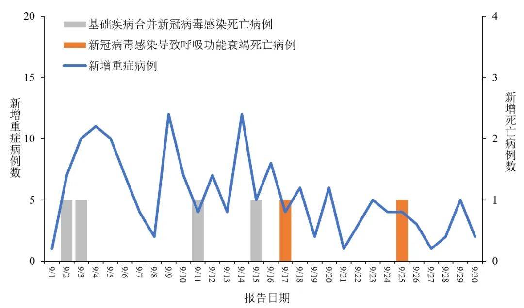 新冠病毒2024年最新消息,创新解析方案_微型版61.554