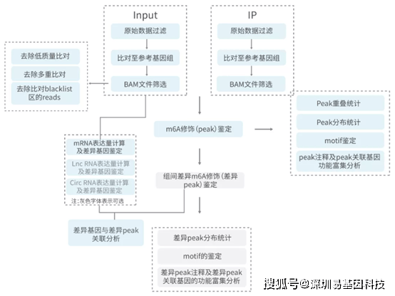 澳彩资料站199618,灵活性方案实施评估_P版90.54