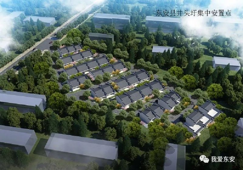 东安区住房和城乡建设局最新发展规划概览