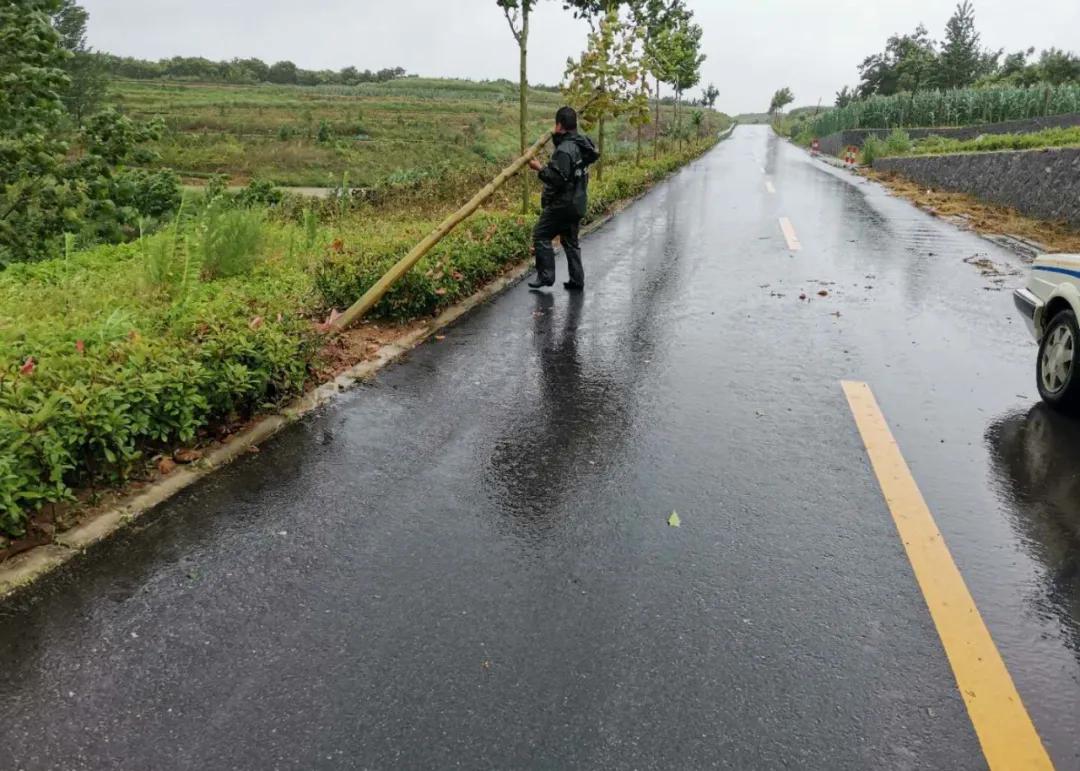 岚山区自然资源和规划局领导团队最新概述