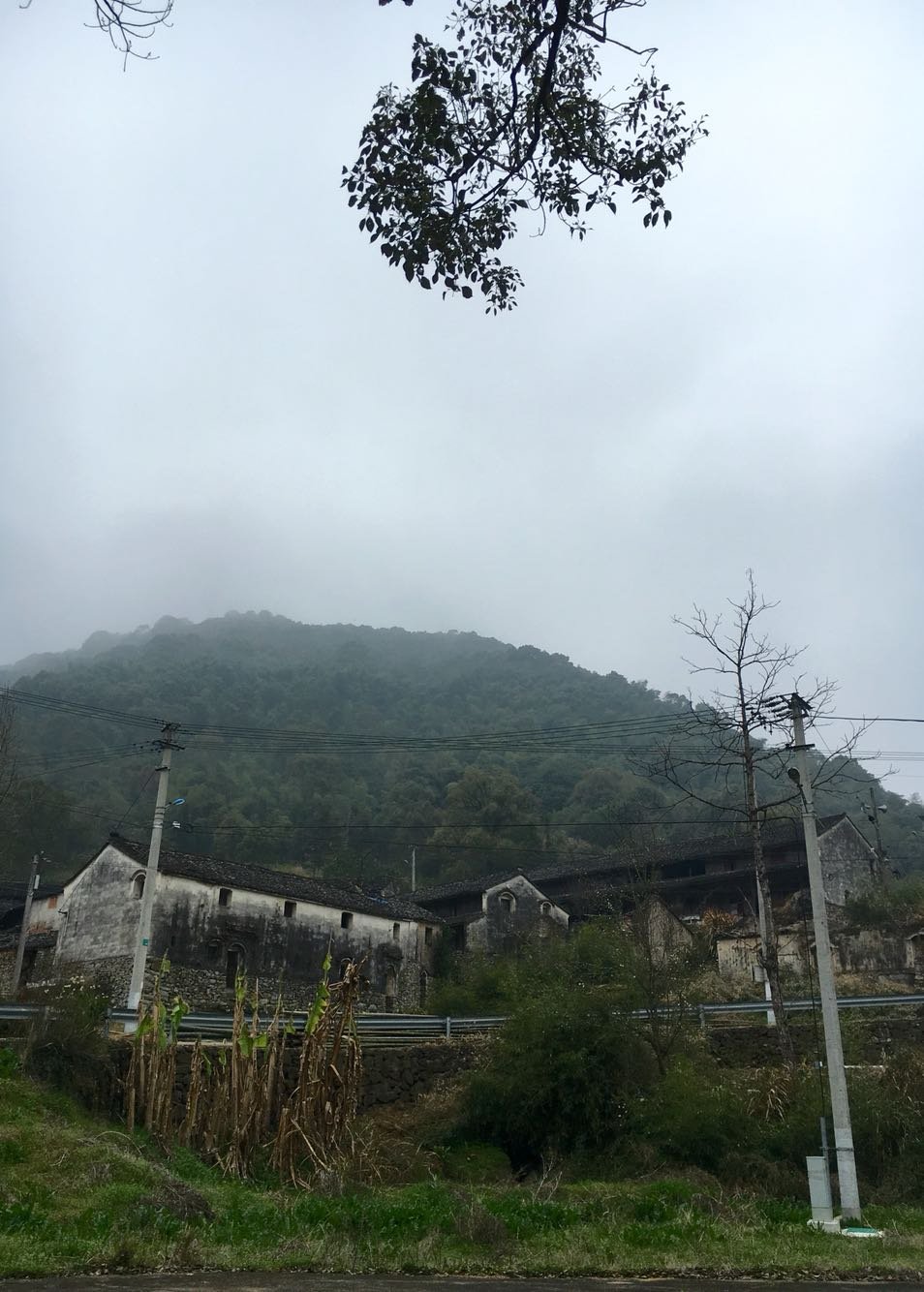 董家镇天气预报更新通知