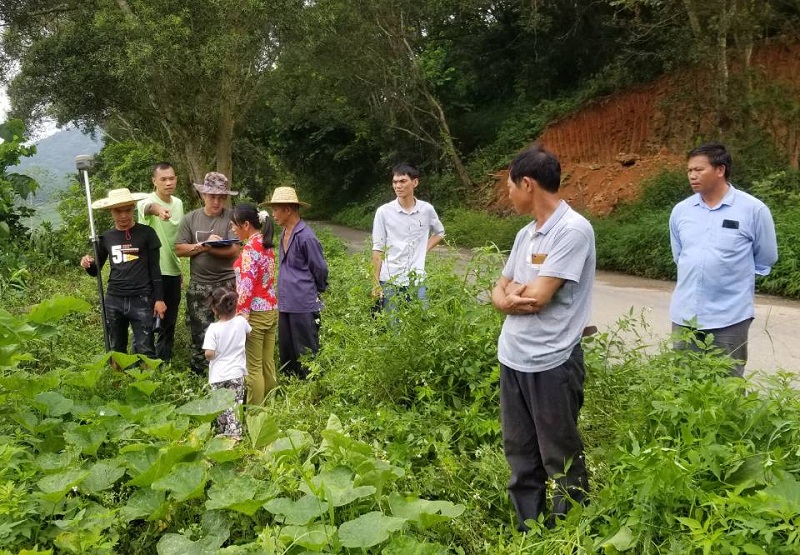 百林乡新项目，乡村发展的璀璨明珠引领未来