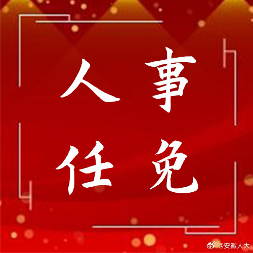 宣城市外事办公室人事任命更新